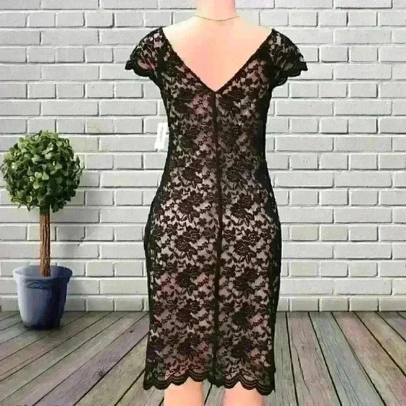 NWT Dressbarn stablished 1962 lace dress size 8 - Picture 2 of 8